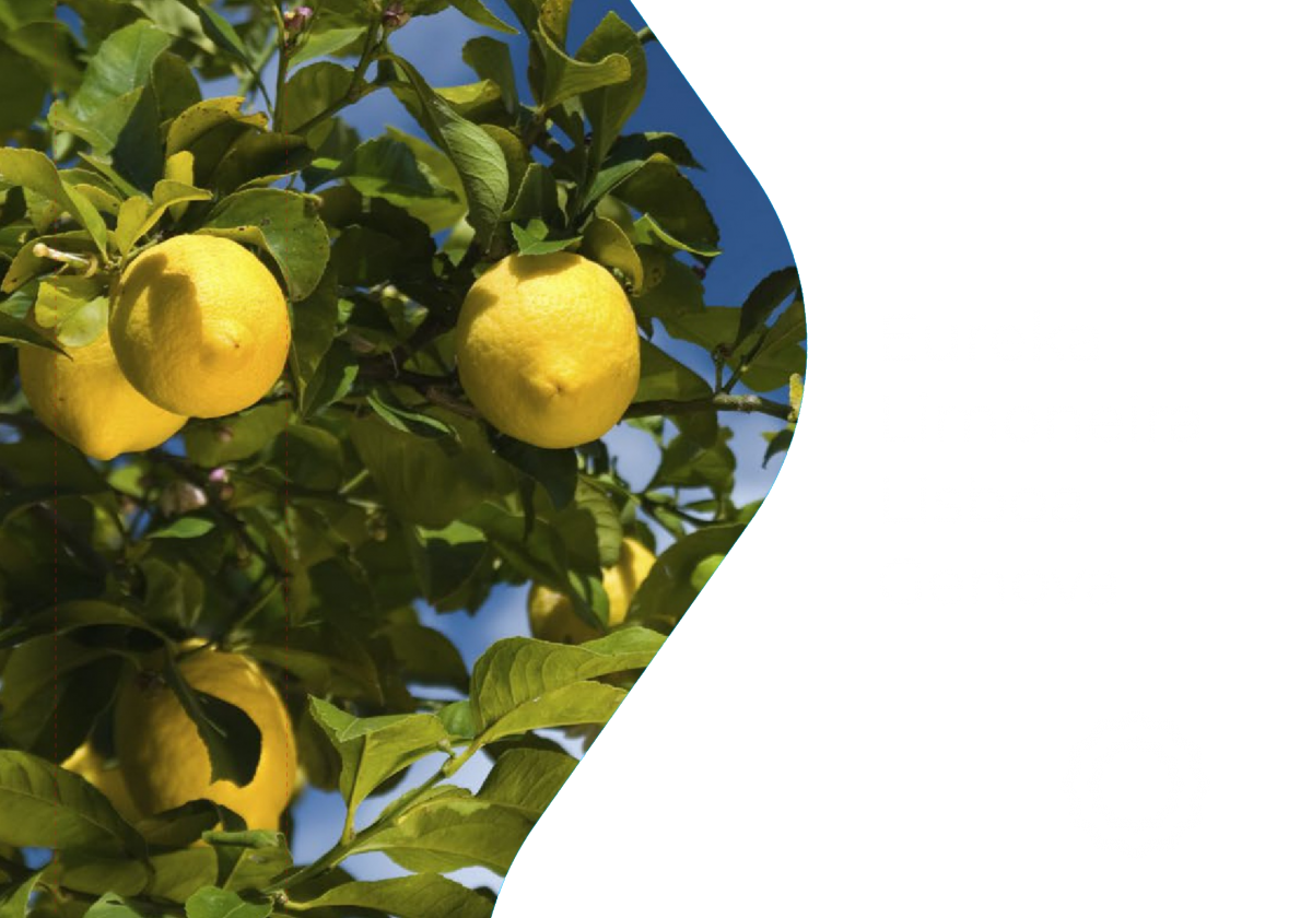 Argentinische Zitronen