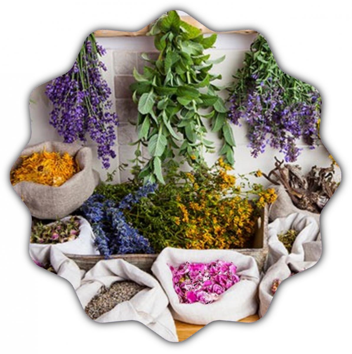 Gewürze, Kräuter, Saucen und Dressings